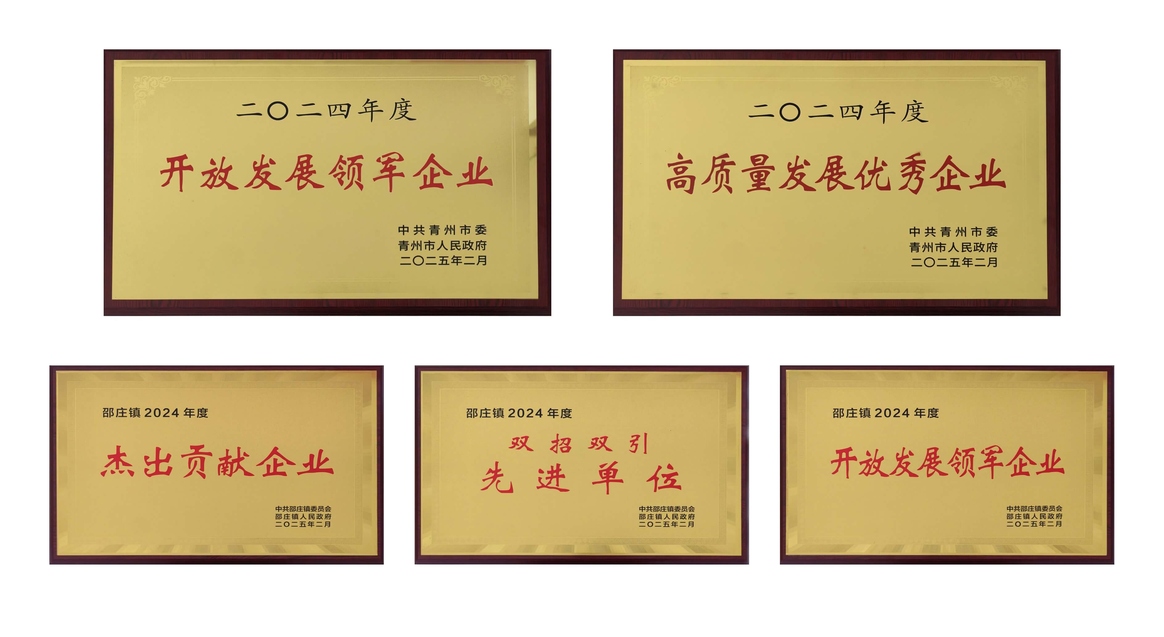 山东yp街机医疗荣获多项殊荣